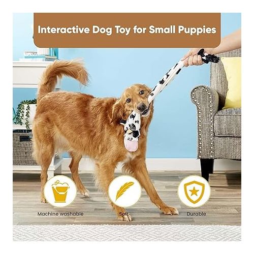  SPOT Skinneeez Crinklers | Stuffless Dog Toys with Squeaker For Small Dogs | Crinkle Toy For Small Puppies | 23