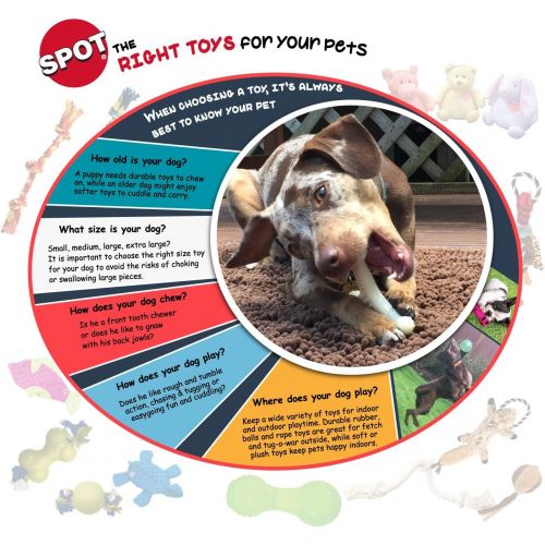  SPOT Ethical Pets Crunchable Bone Dog Toy, 5.5