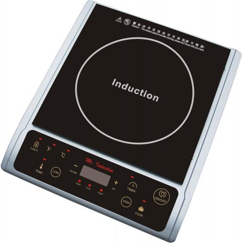  SPT Spt 1300-Watt Induction Cooktop, Silver