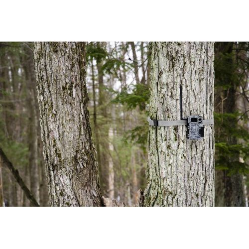  [아마존베스트]SPYPOINT Link Micro Nationwide Version (Smallest on The Market!) Wireless/Cellular Trail Camera, 4 Power LEDs, Fast 4G Photo Transmission w/Preactivated SIM, Fully Configurable via