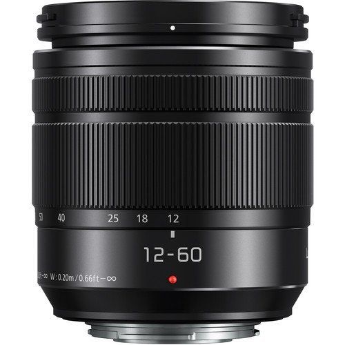 SSE Panasonic Lumix G Vario 12-60mm f3.5-5.6 ASPH. Power O.I.S. Lens Bundle with Manufacturer Accessories & Accessory Kit (13 Items) (White Box) - International Version (No Warranty)
