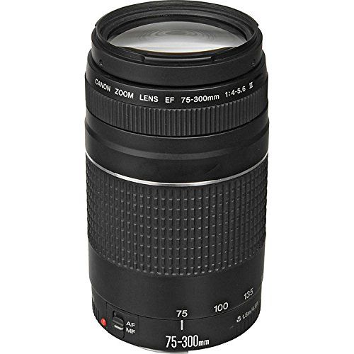  SSE Canon EF-S 18-55mm f4-5.6 is STM + EF 75-300mm f4-5.6 III 11PC Dual Lens Kit - Includes 3PC Filter Kit (UV + CPL + FLD) + More - International Version (No Warranty)