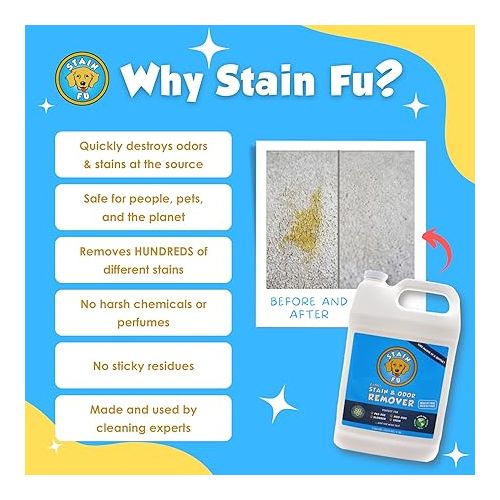  Pet Stain Odor Remover Professional Strength Powerful Eliminator for Tough Dog Cat Pet Urine Pee Poop Feces Vomit Slobber Drool Blood Wine Coffee Home Kennel Car RV Office (1 Gallon)