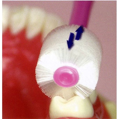  STB Higuchi 360 degree toothbrush 360do BRUSH kids color set of 10 rare set