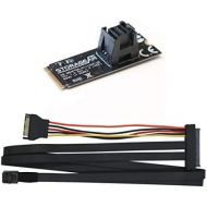 STORAGEAN M.2 Adapter Card (Vertical) U.2 Cable Included - M.2 Socket Mini-SAS HD to U.2 Cable (SFF-8643 to SFF-8639) Connector for U.2 PCIe-NVMe SSD