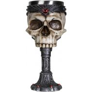 [아마존베스트]SUMMIT COLLECTION Crowned Gothic Ossuary Skull Wine Goblet Removable Stainless Steel Insert Stemware Sacrificial Ceremonial Skull Wine Chalice Goblet 7 Fl Oz Drinkware Halloween De