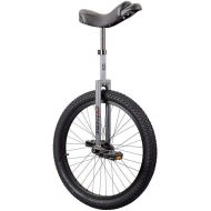 Sun Bicycles Unicycle Sun 24In Extreme 2014 Grey