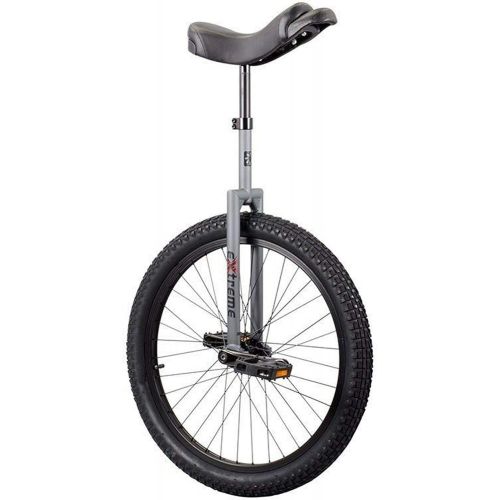  Sun Bicycles Unicycle Sun 24In Extreme 2014 Grey