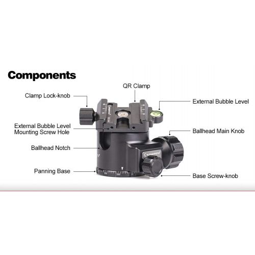  SUNWAYFOTO XB-44 GNN No Neck Tripod Ball Head Arca Compatible Low Center of Gravity XB44 Ideal for Target Shooting