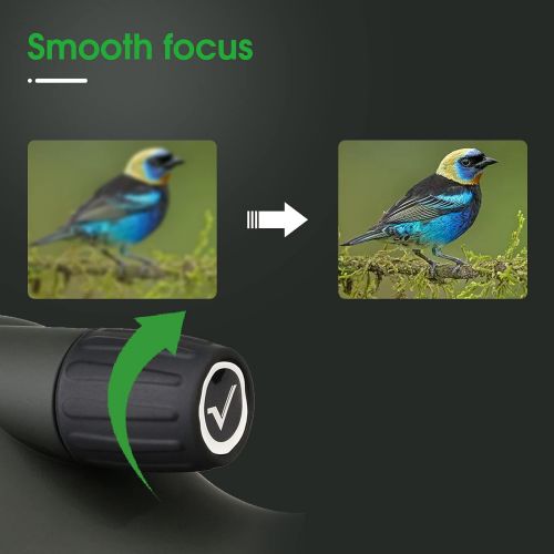  SVBONY SV28 20-60x60 Spotting Scopes Straight Scope Telescope for Bird Watching Target Shooting Hunting Waterproof Spotting Scopes