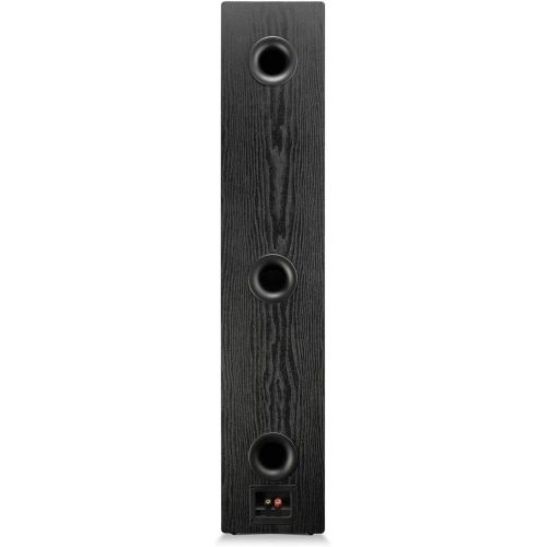  [아마존베스트]SVS Prime Pinnacle  3-Way Tower Speaker (Pair) - Premium Black Ash