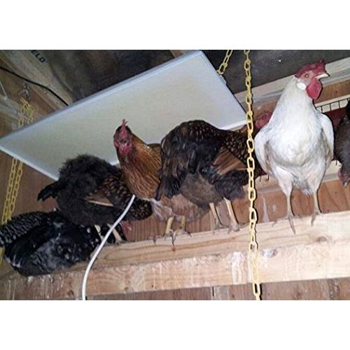  SWEETER HEATER Infrared Heater for Chicks & Pets, Side Mount 11x30, 100 Watt