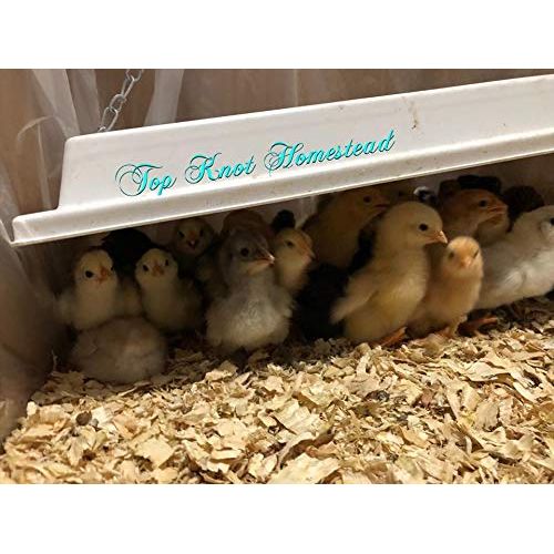  SWEETER HEATER Infrared Heater for Chicks & Pets, Overhead 11x16, 50 Watt