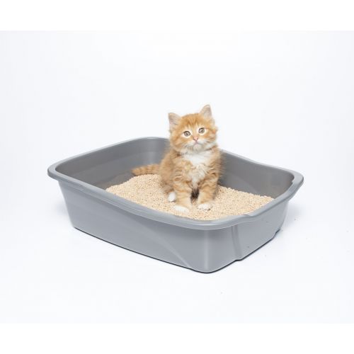  SWheat Scoop sWheat Scoop Fast-Clumping All-Natural Cat Litter