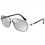 /SX Mens Photosensitive Color Metal Sunglasses Sports Riding Sunglasses (Color : Black Gold)