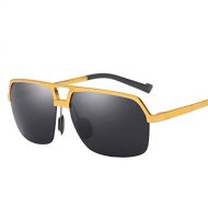 SX Aluminum-Magnesium Mens Polarized Sunglasses, Classic Fishing Riding Mirror (Color : Gold Frame)