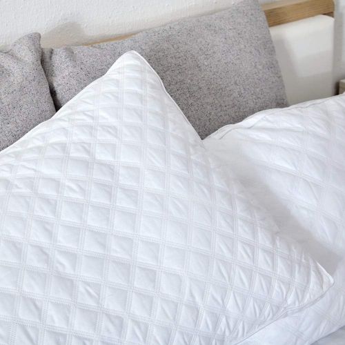  [아마존핫딜][아마존 핫딜] Sable Pillows for Sleeping, 2 Pack Goose Down Alternative Quilted Bed Pillow, FDA Registered, Super Soft Plush Fiber Fill, Adjustable Soft, Relief for Neck Pain, Queen Size, 30×20