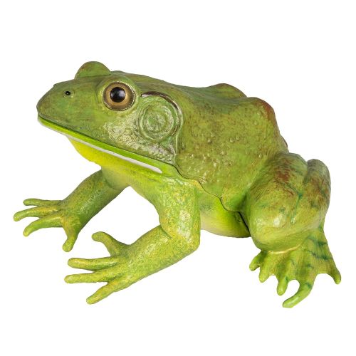  Safari Ltd Incredible Creatures American Bullfrog