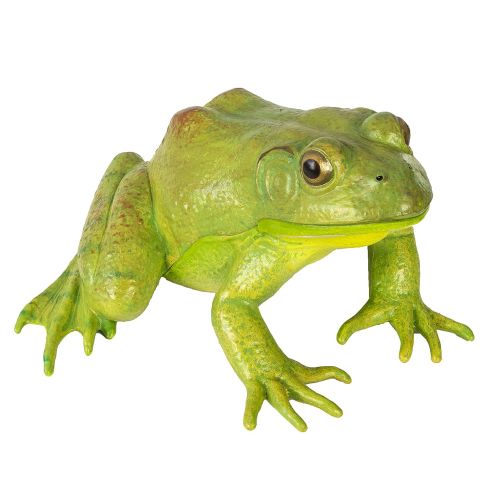  Safari Ltd Incredible Creatures American Bullfrog