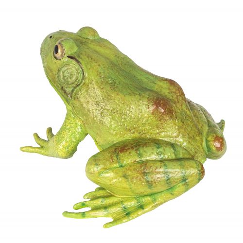 Safari Ltd Incredible Creatures American Bullfrog