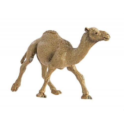  Safari Ltd Wild Safari Wildlife Dromedary Camel