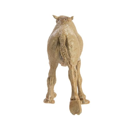  Safari Ltd Wild Safari Wildlife Dromedary Camel