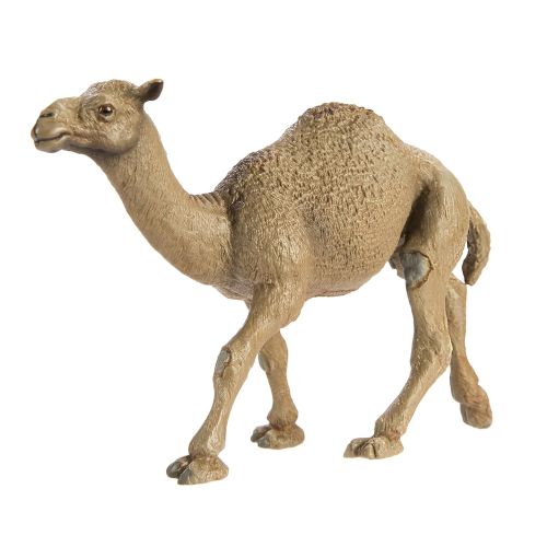  Safari Ltd Wild Safari Wildlife Dromedary Camel