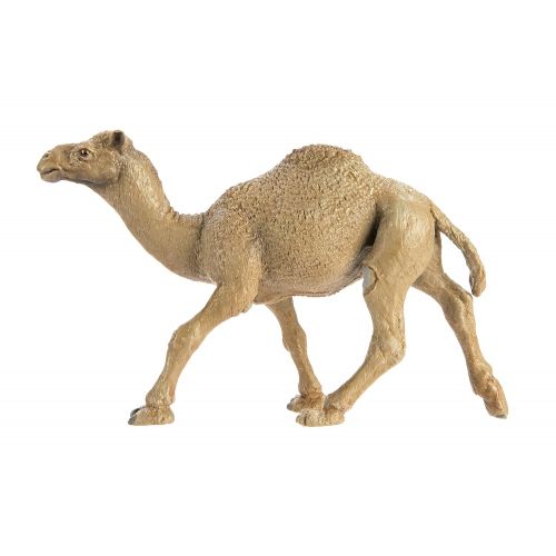  Safari Ltd Wild Safari Wildlife Dromedary Camel