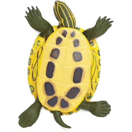  Safari Ltd. Red-Eared Slider Turtle Figurine - Realistic 5.25