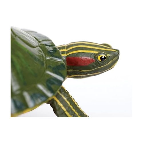  Safari Ltd. Red-Eared Slider Turtle Figurine - Realistic 5.25