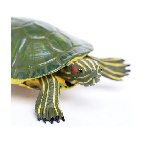  Safari Ltd. Red-Eared Slider Turtle Figurine - Realistic 5.25