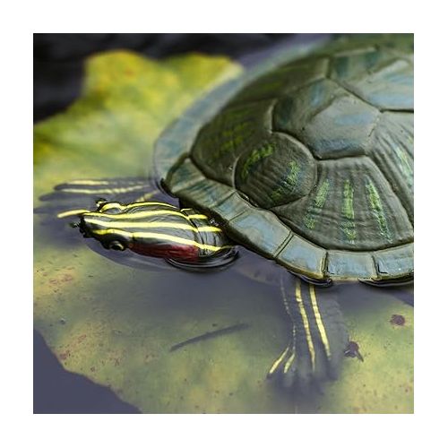  Safari Ltd. Red-Eared Slider Turtle Figurine - Realistic 5.25