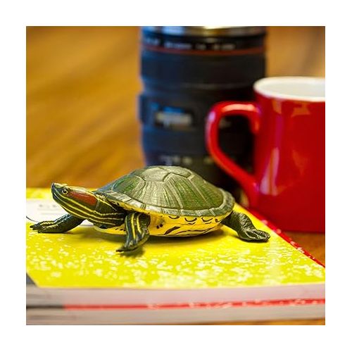  Safari Ltd. Red-Eared Slider Turtle Figurine - Realistic 5.25