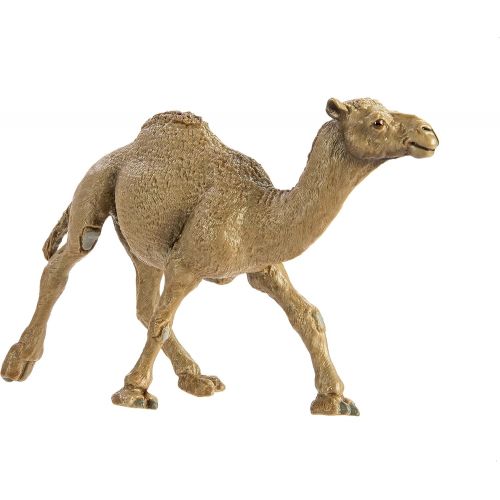  Safari Ltd. Safari Ltd Wild Safari Wildlife Dromedary Camel