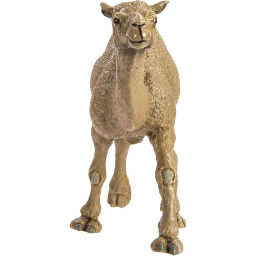  Safari Ltd. Safari Ltd Wild Safari Wildlife Dromedary Camel