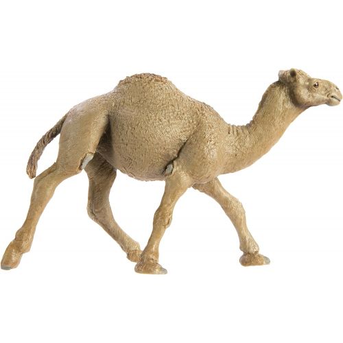  Safari Ltd. Safari Ltd Wild Safari Wildlife Dromedary Camel