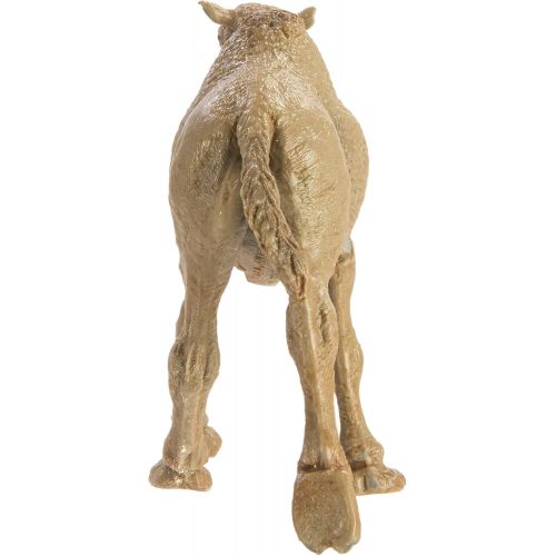  Safari Ltd. Safari Ltd Wild Safari Wildlife Dromedary Camel