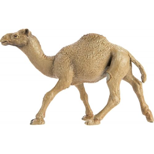  Safari Ltd. Safari Ltd Wild Safari Wildlife Dromedary Camel