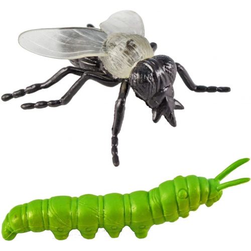  Safari Ltd. Safari Ltd Insects TOOB  Comes With 14 Toy Figurines  Including Caterpillar, Dragonfly, Centipede, Grasshopper, Ladybug, Spider, Butterflies, Bee, Scorpion, Praying Mantis, And M