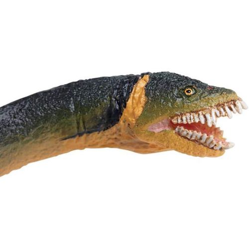  Safari Ltd. Safari Ltd Wild Safari Elasmosaurus  Realistic Individually Hand-Painted Toy Figurine Model  Quality Construction from Phthalate and Lead-Free Materials  For Ages 3 And Up