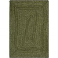 Safavieh Braided Collection BRD315A Hand Woven Green Area Rug (2 x 3)