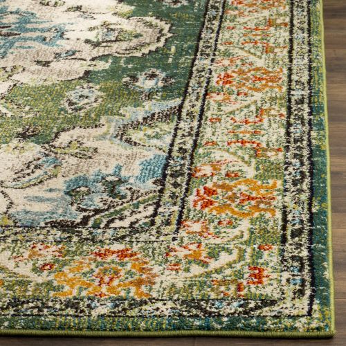  Safavieh Monaco Collection MNC243F Vintage Oriental Forest Green and Light Blue Distressed Area Rug (3 x 5)