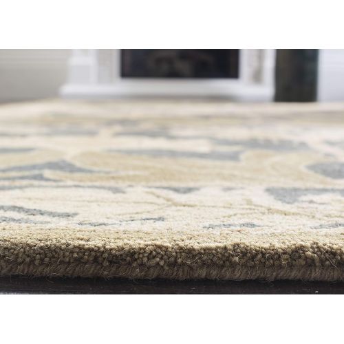  Safavieh Anatolia Collection AN541B Handmade Traditional Oriental Beige and Gold Wool Area Rug (6 x 9)