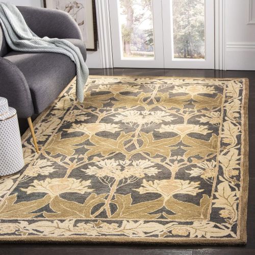  Safavieh Anatolia Collection AN541B Handmade Traditional Oriental Beige and Gold Wool Area Rug (6 x 9)