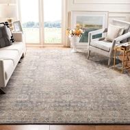 Safavieh Sofia Collection SOF330B Vintage Light Grey and Beige Distressed Area Rug (9 x 12)