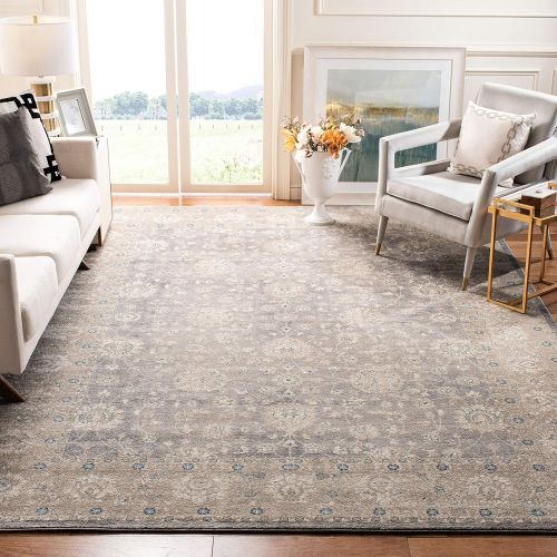  Safavieh Sofia Collection SOF330B Vintage Light Grey and Beige Distressed Area Rug (9 x 12)