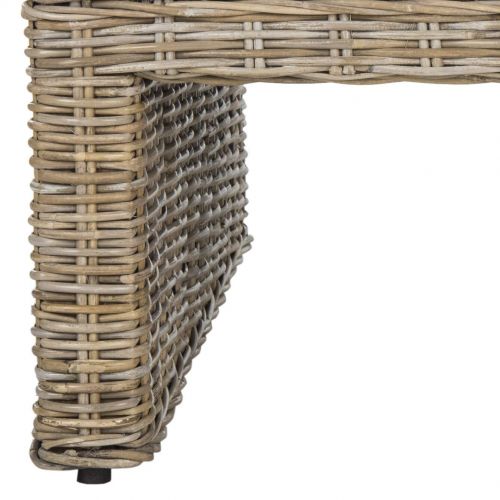  Safavieh Home Collection Persis Natural Wicker Coffee Table