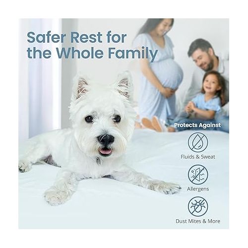  SafeRest 100% Waterproof King Size Mattress Protector - Fitted with Stretchable Pockets - Machine Washable Cotton Mattress Cover for Bed - Perfect Bedding Airbnb Essentials for Hosts