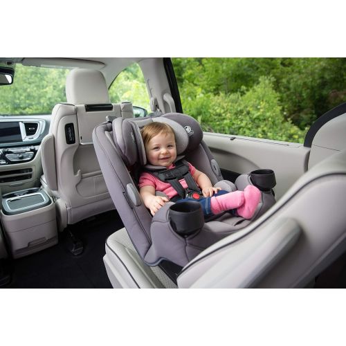  [아마존베스트]Safety 1st Grow and Go 3-in-1 Convertible Car Seat, Carbon Rose