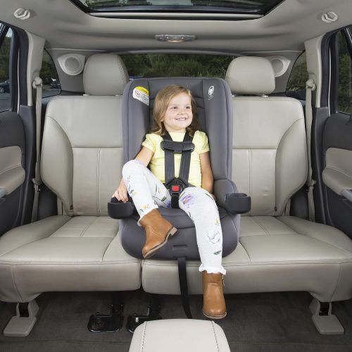  Safety 1st Jive 2-in-1 Convertible Car Seat, Harvest Moon